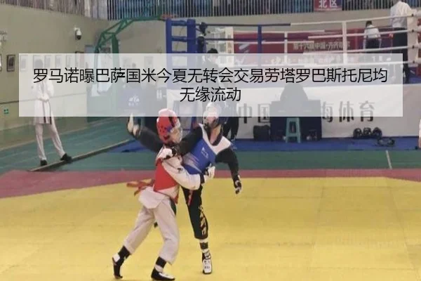 罗马诺曝巴萨国米今夏无转会交易劳塔罗巴斯托尼均无缘流动 - Kaiyun